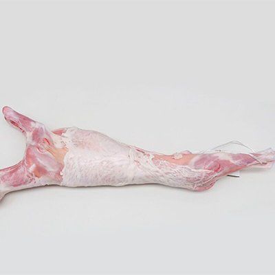 Canal cabrito